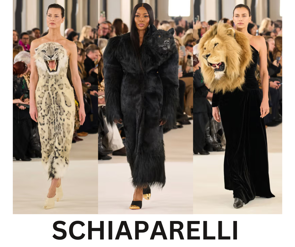 Schiaparelli: Keeping Haute Couture Alive